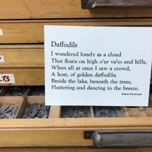 Daffodils Card