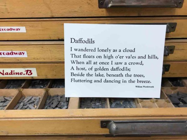 Daffodils Card