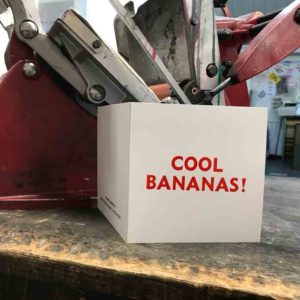 Cool Bananas